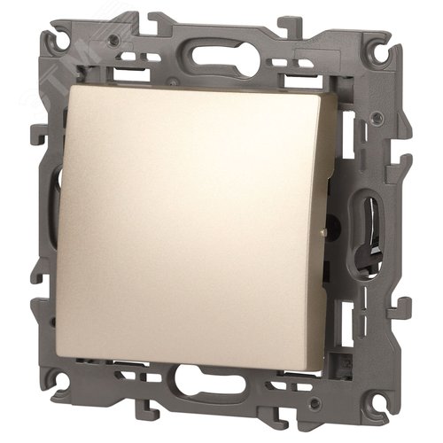 Выключатель одноклавишный, в рамку (скрытого монтажа) шампань 10А 250В автоматические (безвинтовые) зажимы ЭРА Elegance 14-1101-04 3