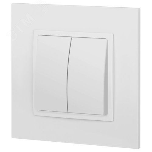 Выключатель двухклавишный, в рамку (скрытого монтажа) белый 10А 250В автоматические (безвинтовые) зажимы ЭРА Elegance 14-1104-01 4
