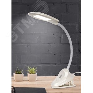 Светильник светодиодный настольный NLED-478-8W-W белый 2