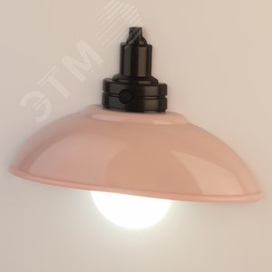 Ночник - светильник светодиодный NLED-487-1W-SW-P настенный на батарейках с выключателем розовый (Б0051477) - фото 8