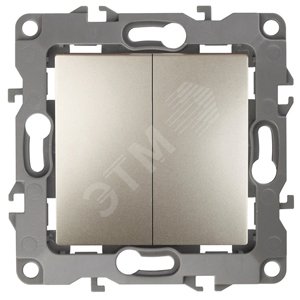 Выключатель двухклавишный скрытого монтажа шампань 10А 250В автоматические (безвинтовые) ЭРА 12 12-1004-04