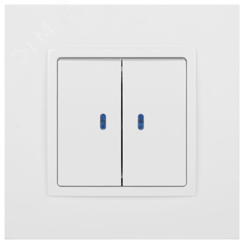Выключатель двухклавишный, в рамку (скрытого монтажа) с подсветкой белый 10А 250В автоматические (безвинтовые) зажимы ЭРА Elegance 14-1105-01 2
