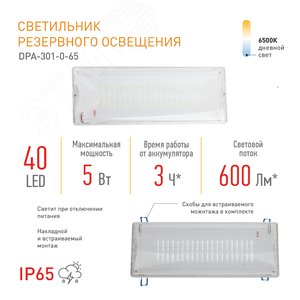 Светильник светодиодный аварийный непостоянный DPA-301-0-65 40LED 3ч IP65 NiCD 10/240 8
