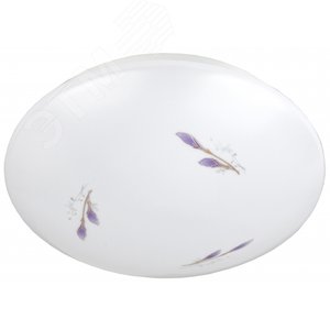 SPB-6 Lily 14-6,5K Бытовые свет ЭРА Светодиод. св-к 14Вт 6500К 980 Лм  260x90 мм (20/80)