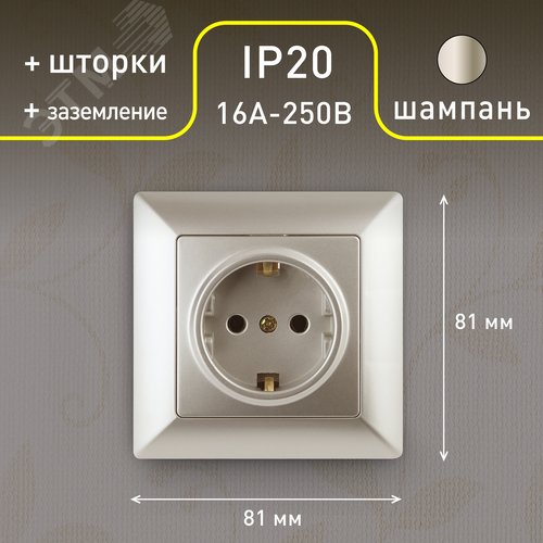 4-206-04 Розетка 2P+E Schuko со шторками, 16А-250В, СУ, Solo, шампань (10/200/2400) | Б0043343 | Intro - фото 2