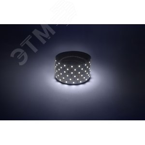Лента светодиодная 4,8Вт/м 12В 6500К IP20 60LED/м LS2835-60LED-IP20-W-eco-5м 3