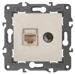 Розетка RJ45+TV, Эра Elegance, сл.кость, 14-3110-02 - ЭРА (Энергия света)