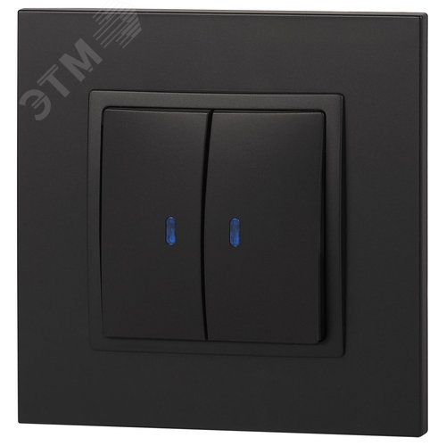 Выключатель двухклавишный, в рамку (скрытого монтажа) с подсветкой антрацит 10А 250В автоматические (безвинтовые) зажимы ЭРА Elegance 14-1105-05 5
