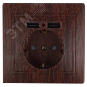 1-410-10 Розетка+USB, IP20, СУ, Plano, венге (10/100/2500) | Б0043251 | Intro - ЭРА (Энергия света)