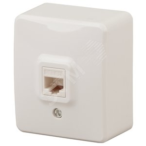 Розетка информационная RJ45, ОУ, Эра Эксперт, сл.кость, 11-3203-02 - ЭРА (Энергия света)