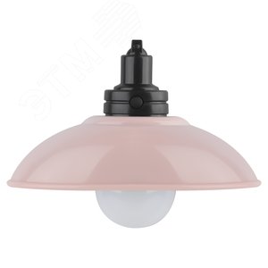 Ночник - светильник светодиодный NLED-487-1W-SW-P настенный на батарейках с выключателем розовый (Б0051477) - ЭРА (Энергия света)
