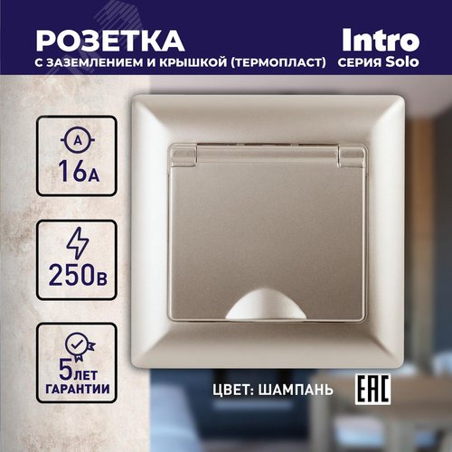 4-203-04 Розетка 2P+E Schuko с крышкой, 16А-250В, СУ, Solo, шампань (10/100/2400) | Б0043322 | Intro - фото 2