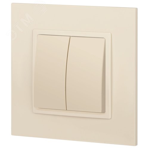 Выключатель двухклавишный, в рамку (скрытого монтажа) слоновая кость 10А 250В автоматические (безвинтовые) зажимы ЭРА Elegance 14-1104-02 5