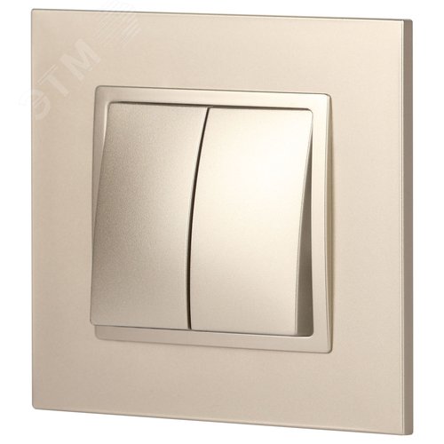 Выключатель двухклавишный, в рамку (скрытого монтажа) шампань 10А 250В автоматические (безвинтовые) зажимы ЭРА Elegance 14-1104-04 5