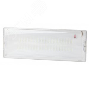 Светильник аварийный DPA-301-1-65 постоянный 40LED 3ч IP65 NiCD - ЭРА (Энергия света)