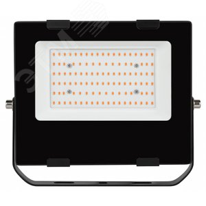 Прожектор красно-синего спектра FITO-100W-RB-LED