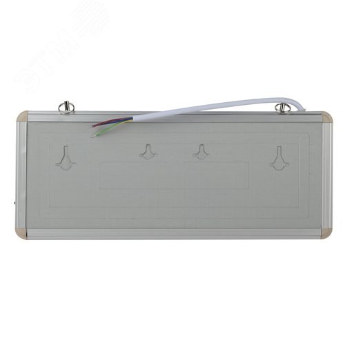 Светильник аварийный светодиодный 1,5ч 3 Вт ЗАПАСНЫЙ ВЫХОД SSA-101-4-20 2