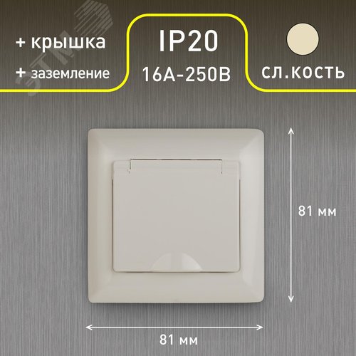 4-203-02 Розетка 2P+E Schuko с крышкой, 16А-250В, СУ, Solo, сл.кость (10/100/2400) | Б0043320 | Intro - фото 3