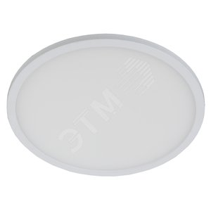 Светильник светодиодный ДВО-18W 4000К 1200Лм d=170мм IP20 круглый