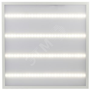 Светильник светодиодный ДВО/ДПО SPO-6-48-6K-M (4) 48Вт 6500К 4800Лм IP40 595х595 матовый с проводом