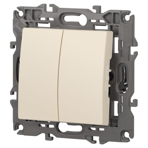Выключатель двухклавишный, в рамку (скрытого монтажа) слоновая кость 10А 250В автоматические (безвинтовые) зажимы ЭРА Elegance 14-1104-02 4