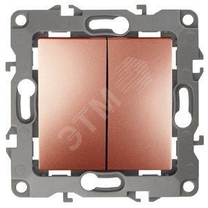 Выключатель двухклавишный скрытого монтажа 10А 250В автоматические (безвинтовые) ЭРА 12 12-1004-14