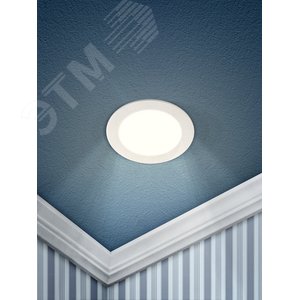 Светильник светодиодный ДВО-9W 4000К 360Лм d=146мм IP20 круглый 4