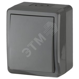 Переключатель IP54, 10АХ-250В, ОУ, Эра Эксперт, серый,11-1403-03 - ЭРА (Энергия света)