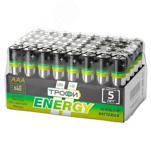 Батарейка Трофи LR03-40 bulk ENERGY Alkaline (40/960/38400) - ЭРА (Энергия света)