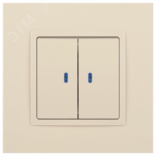 Выключатель двухклавишный, в рамку (скрытого монтажа) с подсветкой слоновая кость 10А 250В автоматические (безвинтовые) зажимы ЭРА Elegance 14-1105-02 2