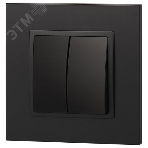 Выключатель двухклавишный, в рамку (скрытого монтажа) антрацит 10А 250В автоматические (безвинтовые) зажимы ЭРА Elegance 14-1104-05 6