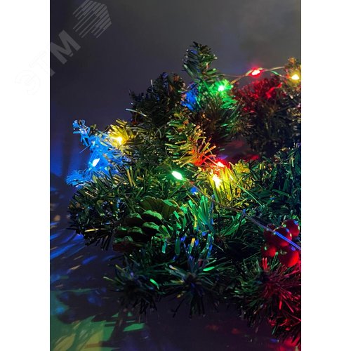 ENIN-2M ЭРА Гирлянда LED Нить 2 м мультиколор, АА, IP20 (120/4800) (Б0041983) 9