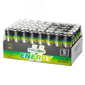 Батарейка Трофи LR6-40 bulk ENERGY Alkaline (40/720/17280) - ЭРА (Энергия света)