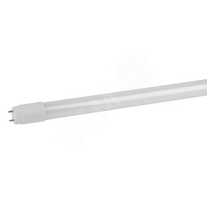 Лампа светодиодная LED 20Вт G13 6500K 1200мм Т8 1600Лм труб пов хол (Б0033005) - ЭРА (Энергия света)