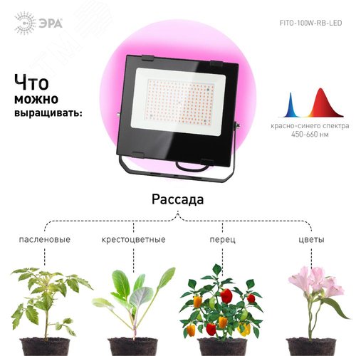 Прожектор красно-синего спектра FITO-100W-RB-LED 10
