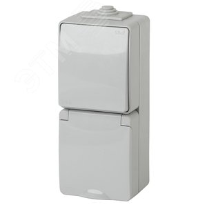 Блок розетка+выкл. верт. IP65, 16A(10AX)-250В, ОУ, Эра Эксперт, серый, 11-7607-03 - ЭРА (Энергия света)