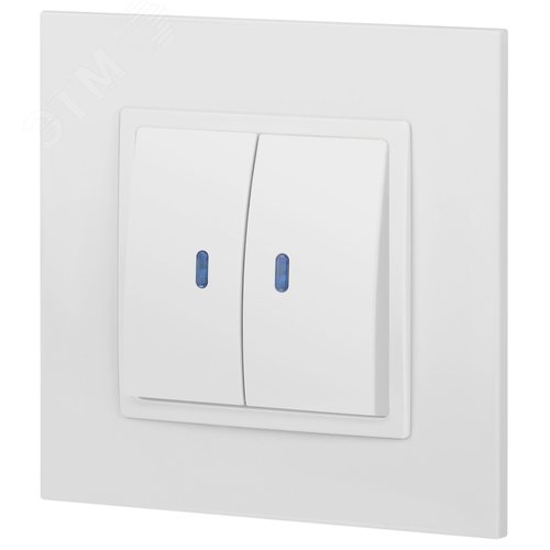 Выключатель двухклавишный, в рамку (скрытого монтажа) с подсветкой белый 10А 250В автоматические (безвинтовые) зажимы ЭРА Elegance 14-1105-01 4