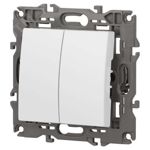 Выключатель двухклавишный, в рамку (скрытого монтажа) белый 10А 250В автоматические (безвинтовые) зажимы ЭРА Elegance 14-1104-01 3