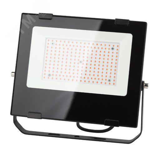 Прожектор красно-синего спектра FITO-100W-RB-LED 3