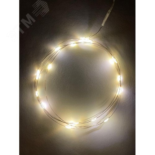 ENIN-2B ЭРА Гирлянда LED Нить 2 м теплый свет, АА, IP20 (100/5400) (Б0041891) - фото 5