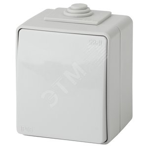 Переключатель IP65, 10АХ-250В, ОУ, Эра Эксперт, серый,11-1603-03 - ЭРА (Энергия света)