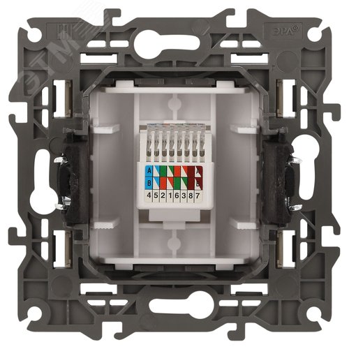 Розетка RJ45, Эра Elegance, шампань, 14-3107-04 3