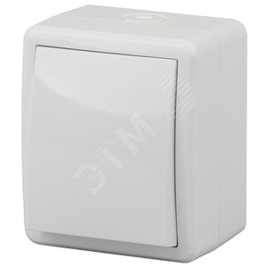 Переключатель IP54, 10АХ-250В, ОУ, Эра Эксперт, белый,11-1403-01 - ЭРА (Энергия света)