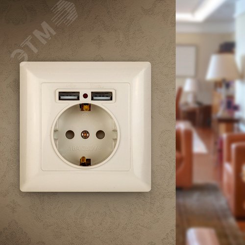 4-410-02 Розетка P+E Schuko со шторками, 16А-250В + 2хUSB, СУ, Solo, слоновая кость (10/100/20 | Б0043404 | Intro - фото 3