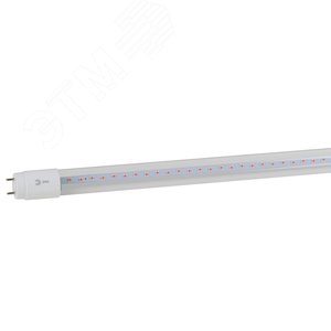 Фитолампа для растений светодиодная FITO-18W-RB-Т8-G13-NL и мясных прилавков 18 Вт Т8 G13 красно-синего спектра - ЭРА (Энергия света)