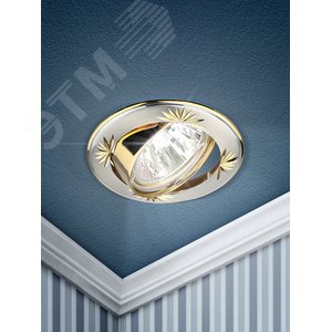 Светильник светодиодный встраиваемый KL3A SS/G литой круг. пов. с гравировкой MR16,12V/220V, 50W сатин серебро/золото  ЭРА (C0043663) 2