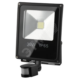 Прожектор светодиодный ДО-30W 6500К 2100Лм IP65 (Б0043586)