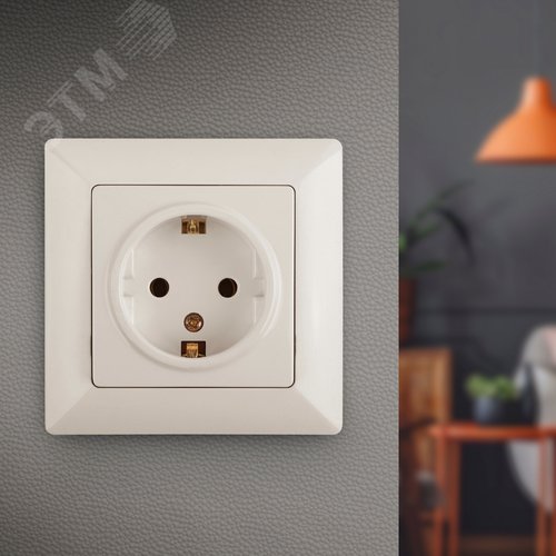 4-206-02 Розетка 2P+E Schuko со шторками, 16А-250В, СУ, Solo, сл.кость (10/200/1600) | Б0043341 | Intro - фото 3
