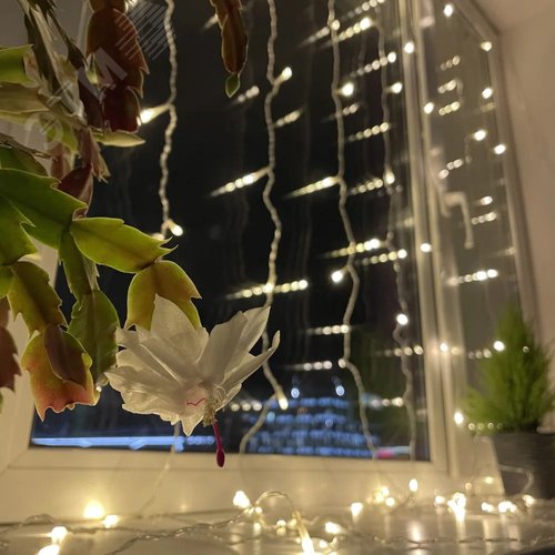 ENOZ-2B ЭРА Гирлянда LED Дождь/Занавес 1 м*2 м теплый свет, 24V, IP44 (60/720) необходим            трансформатор Б0041911 приобретается отдельно (Б0041908) - фото 12