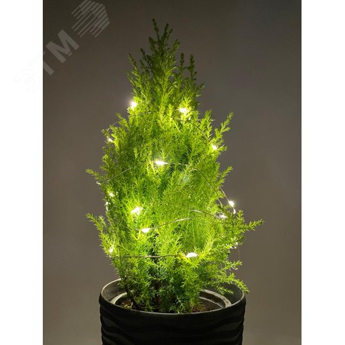 ENIN-2B ЭРА Гирлянда LED Нить 2 м теплый свет, АА, IP20 (100/5400) (Б0041891) - фото 2
